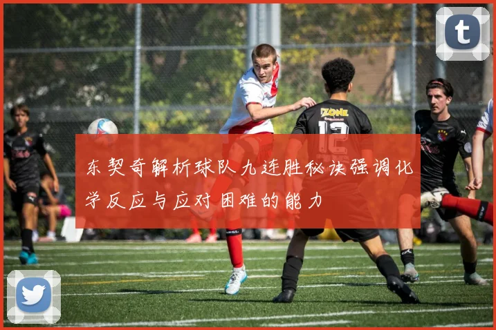 东契奇解析球队九连胜秘诀强调化学反应与应对困难的能力