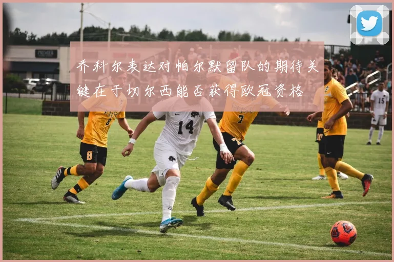 乔科尔表达对帕尔默留队的期待关键在于切尔西能否获得欧冠资格
